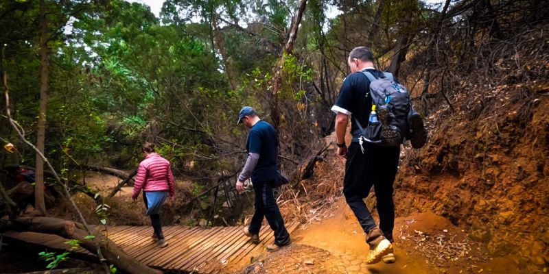 Hikers navigating a bridge at the Wolwespruit Trail Park 