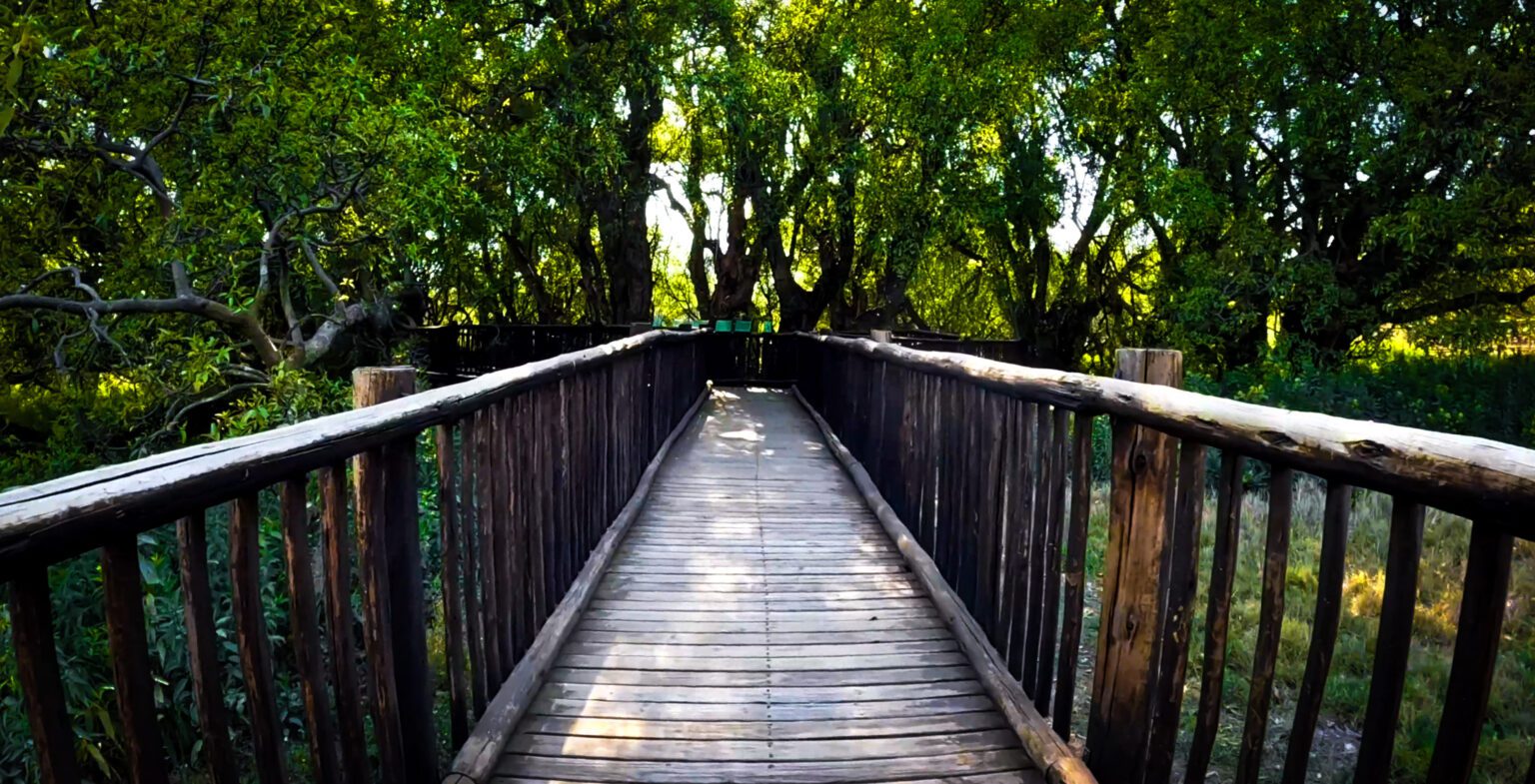 Wonderboom Nature Reserve 1 1536x785