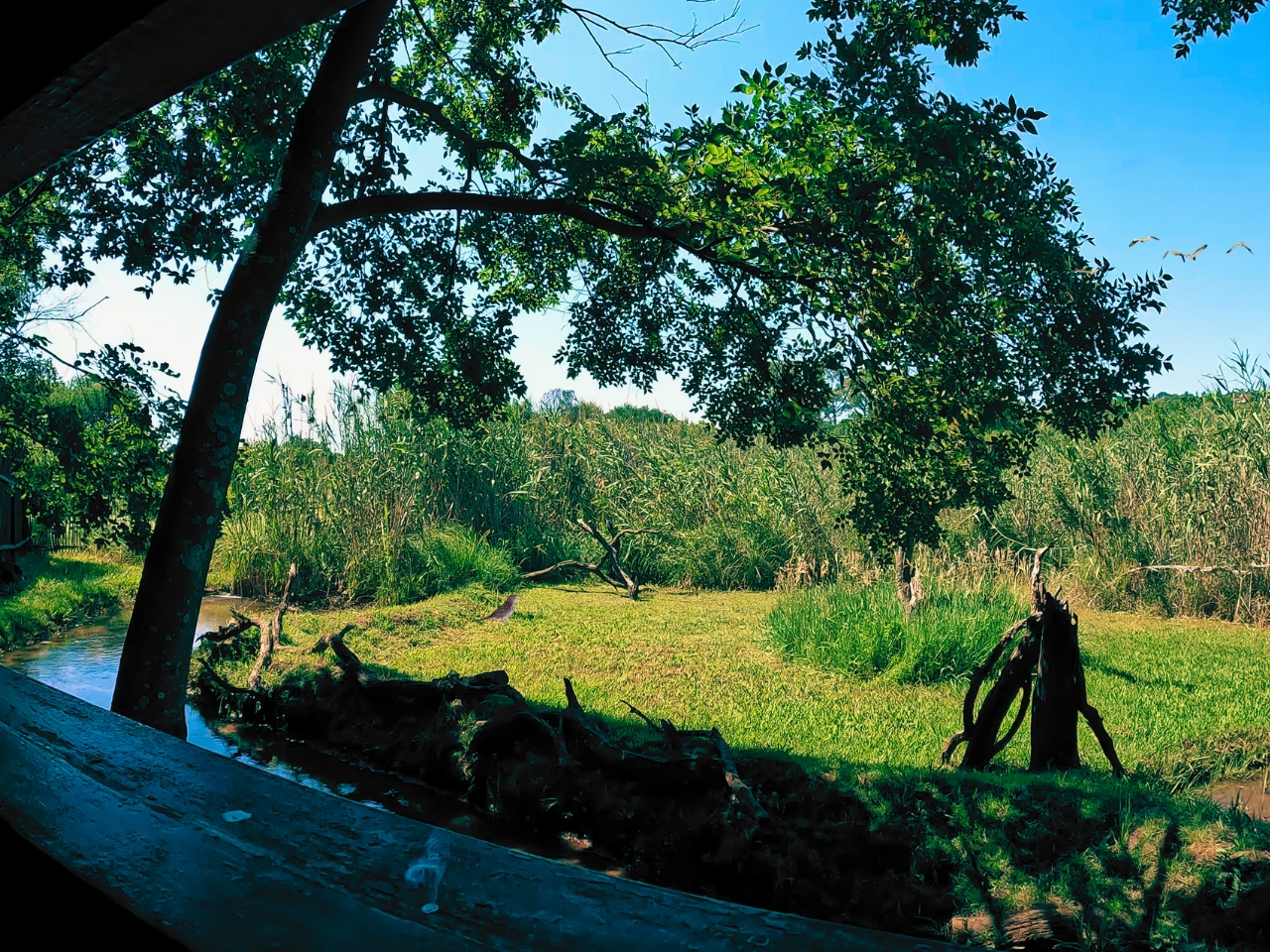 Moreleta Park Nature Reserve Bird Watching Hide