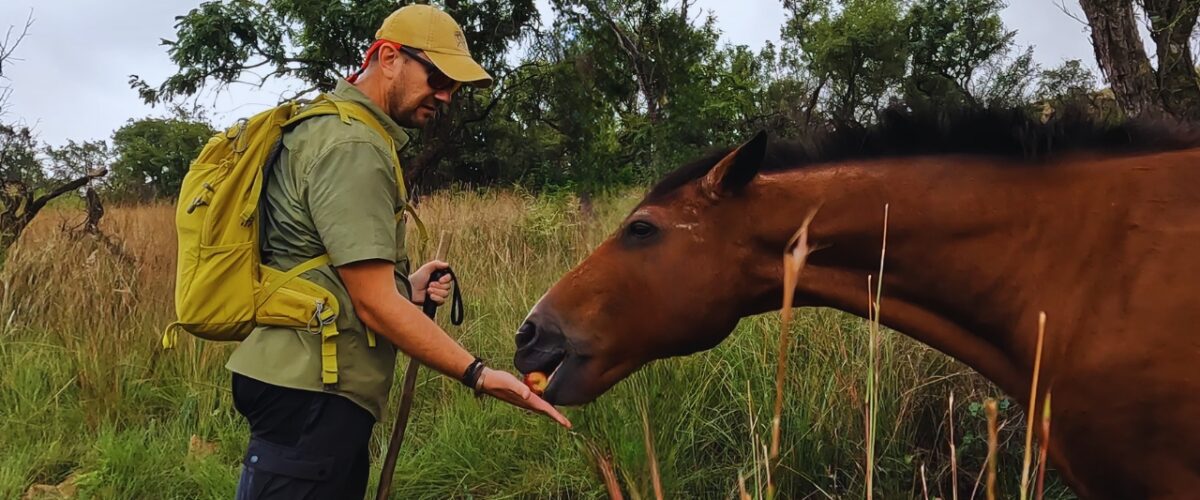 Feeding a Horse on the Friends of Magalies Hiking Trails Hike
