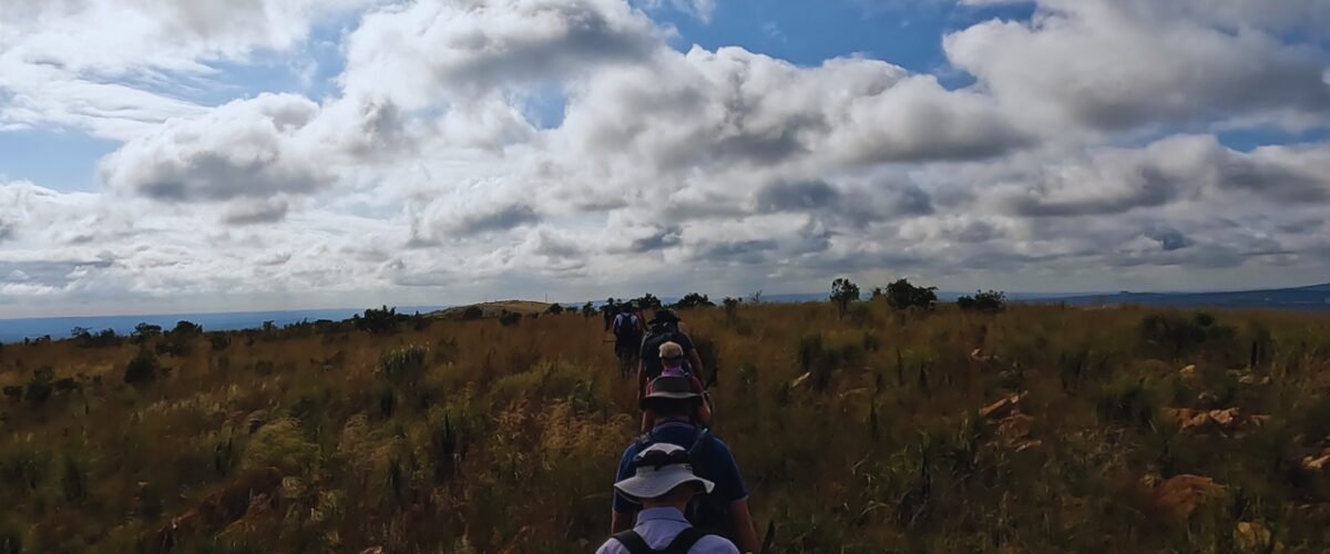 Along the route of the Friends of Magalies Hiking Trail