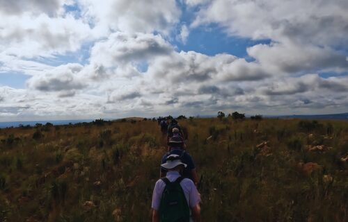Along the route of the Friends of Magalies Hiking Trail