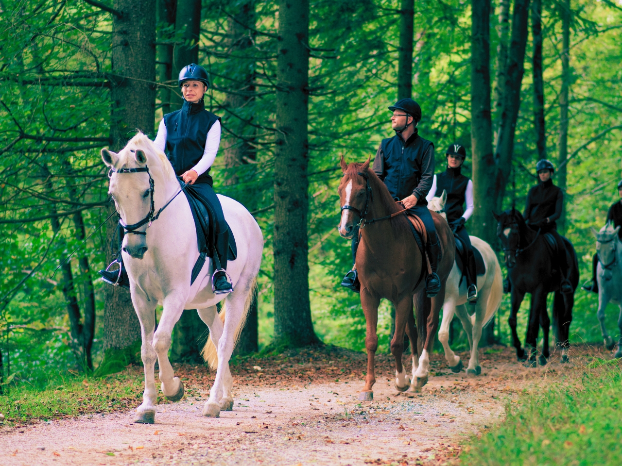 6 Best Recreational Horse Riding Venues in Pretoria – Think Adventure Guide