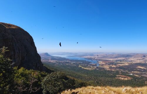 Vergenoeg Hiking Trails looking towards Vultures flying over on a high point of view.