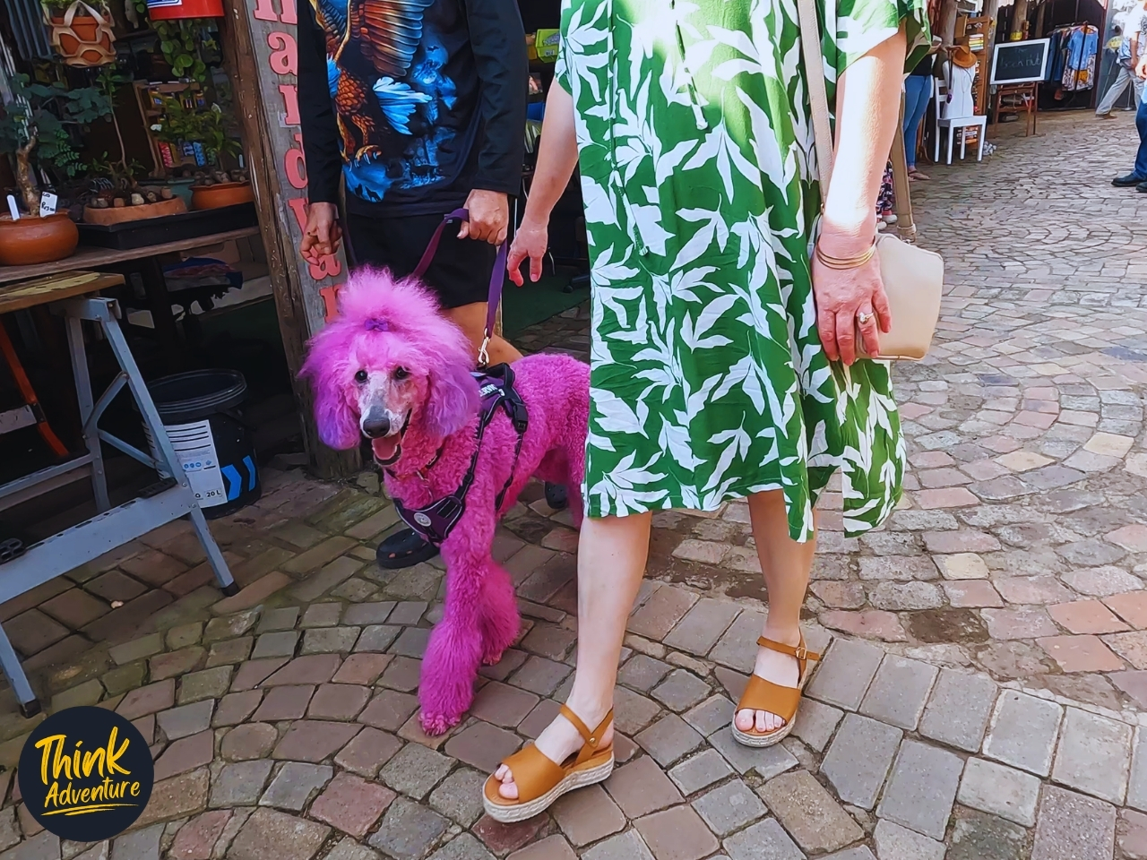 Big Pink Poodles at Cowboy Town