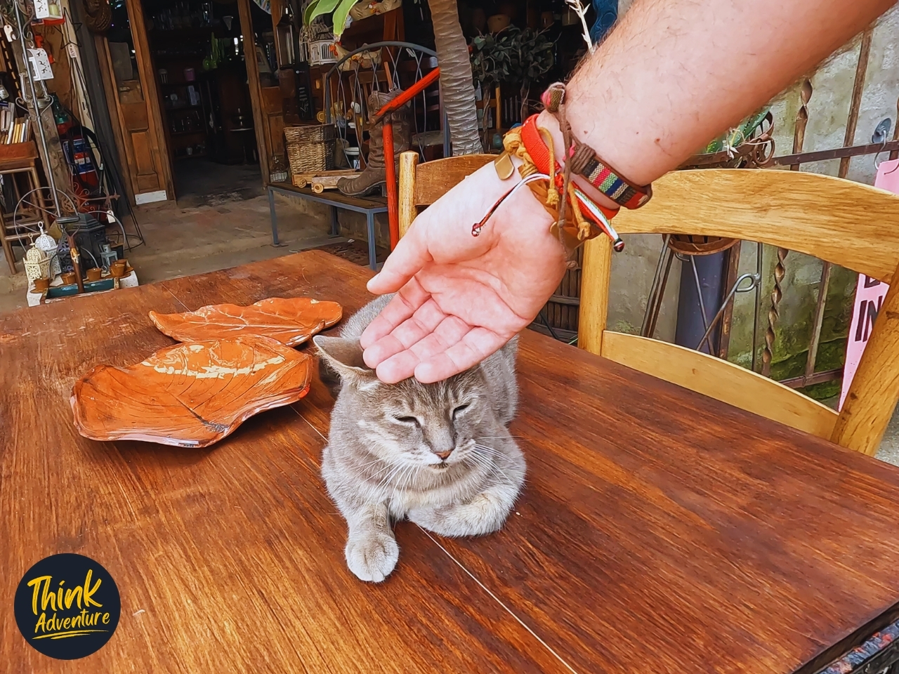 Petting a grey cat outside Stardust shop in Cowboy Town