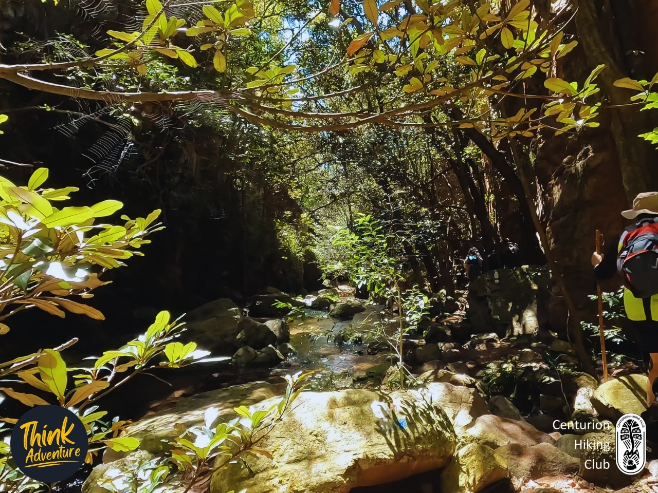 Along the stream in between the gorge at the Kranskloof Hiking Trail