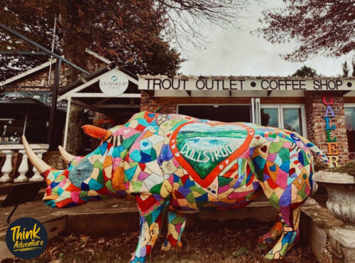Rhino art decoration in front of a coffee shop in Dullstroom