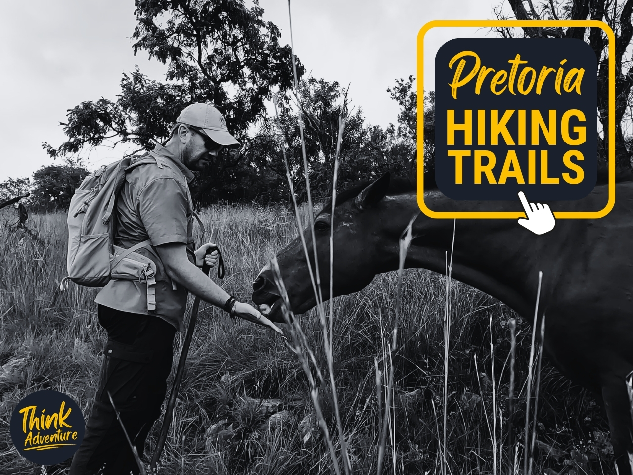 A hiker feeding a horse on the Friends of Magalies Hiking Trail
