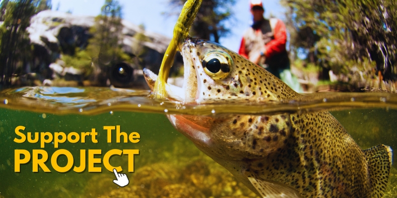 Trout fishing in Dullstroom Project Support
