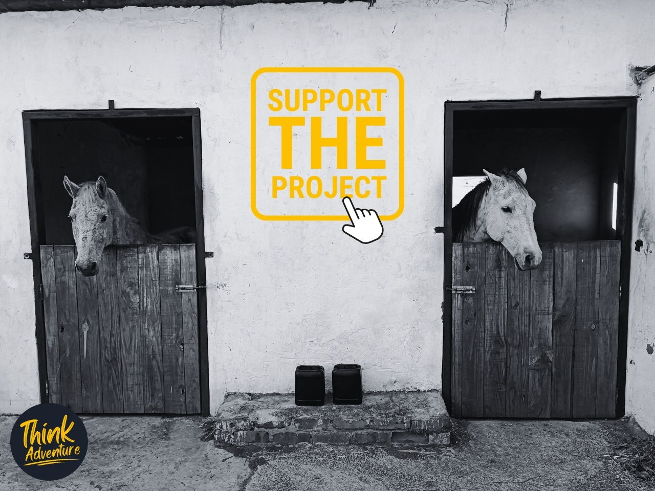 Two horses in stables at the Hoogland Hiking Trails