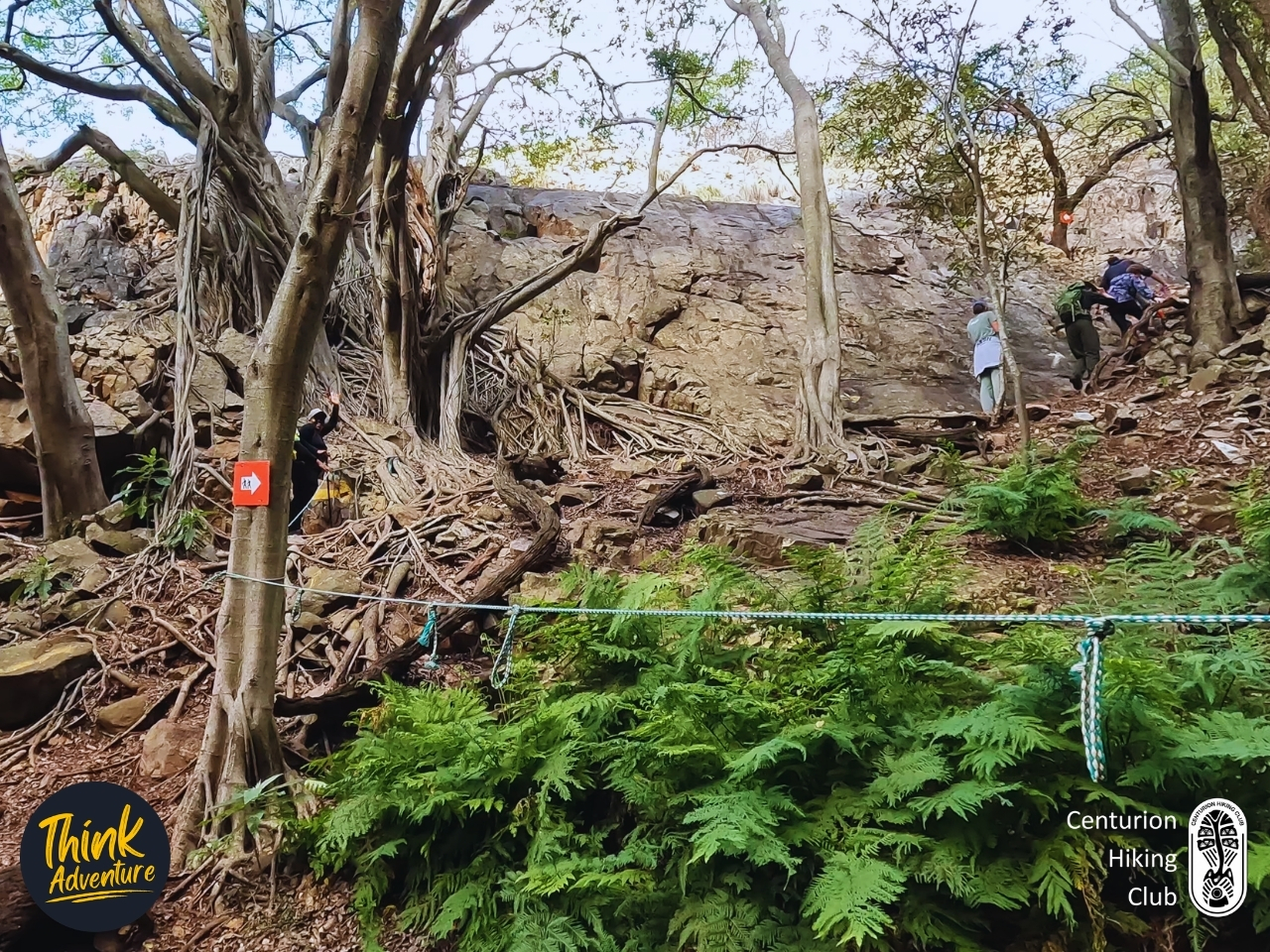 A technical rope section on the Black Trail at the Vergenoeg Hiking Trails, Hartbeespoort