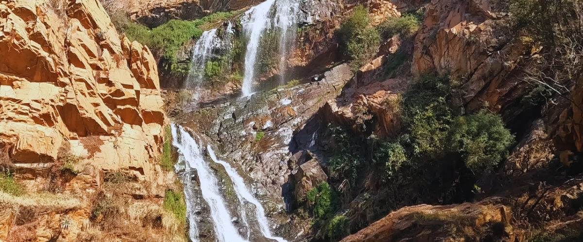 Witpoortjie Falls at the Walter Sisulu Botanical Garden