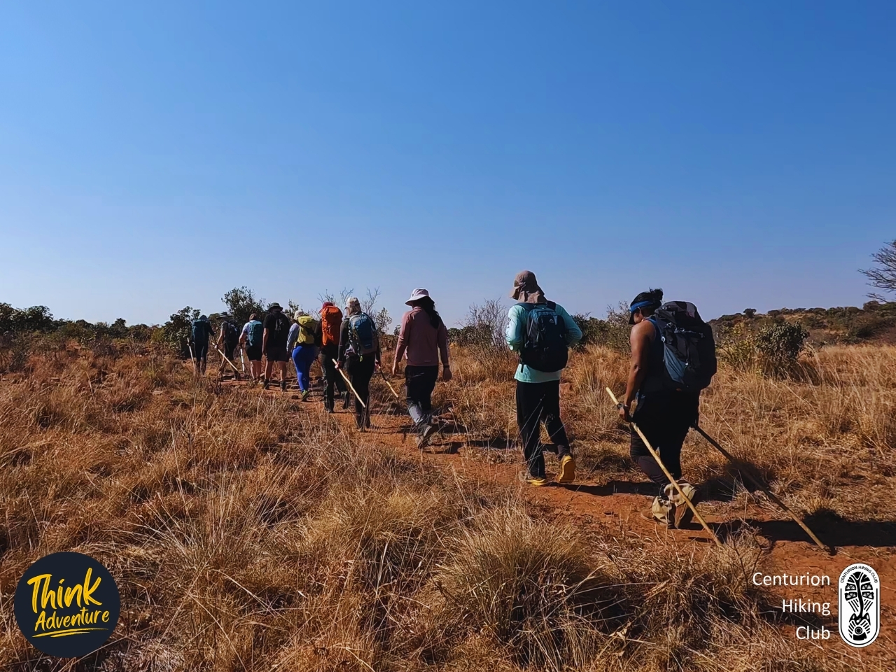 A Group of Hikers on the Zebra Trail at the Bataleur Nature Reserve
