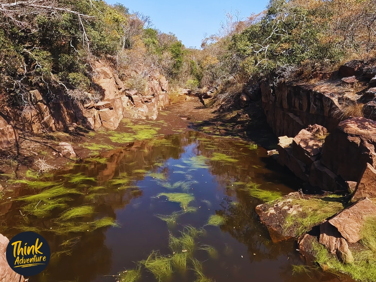 The Kransdam along the Trail at Bataleur Nature Reserve
