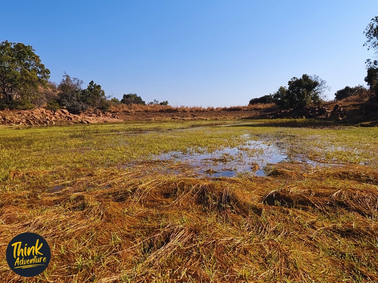 Kaalgatdam along the Leopard Trail at Bataleur Nature Reserve