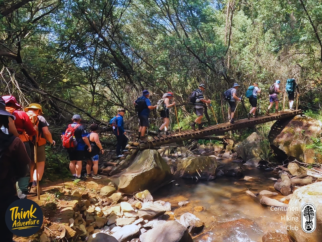River running through tree-covered gorge on the Bosbok Trail at Wathaba Hiking Trails, Mpumalanga