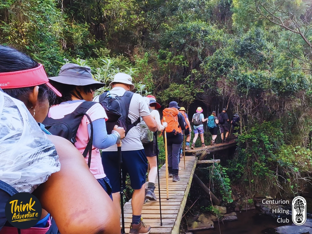 Hikers crossing a narrow wooden bridge over the river under dense forest on the Lynx Loop at Wathaba Hiking Trails
